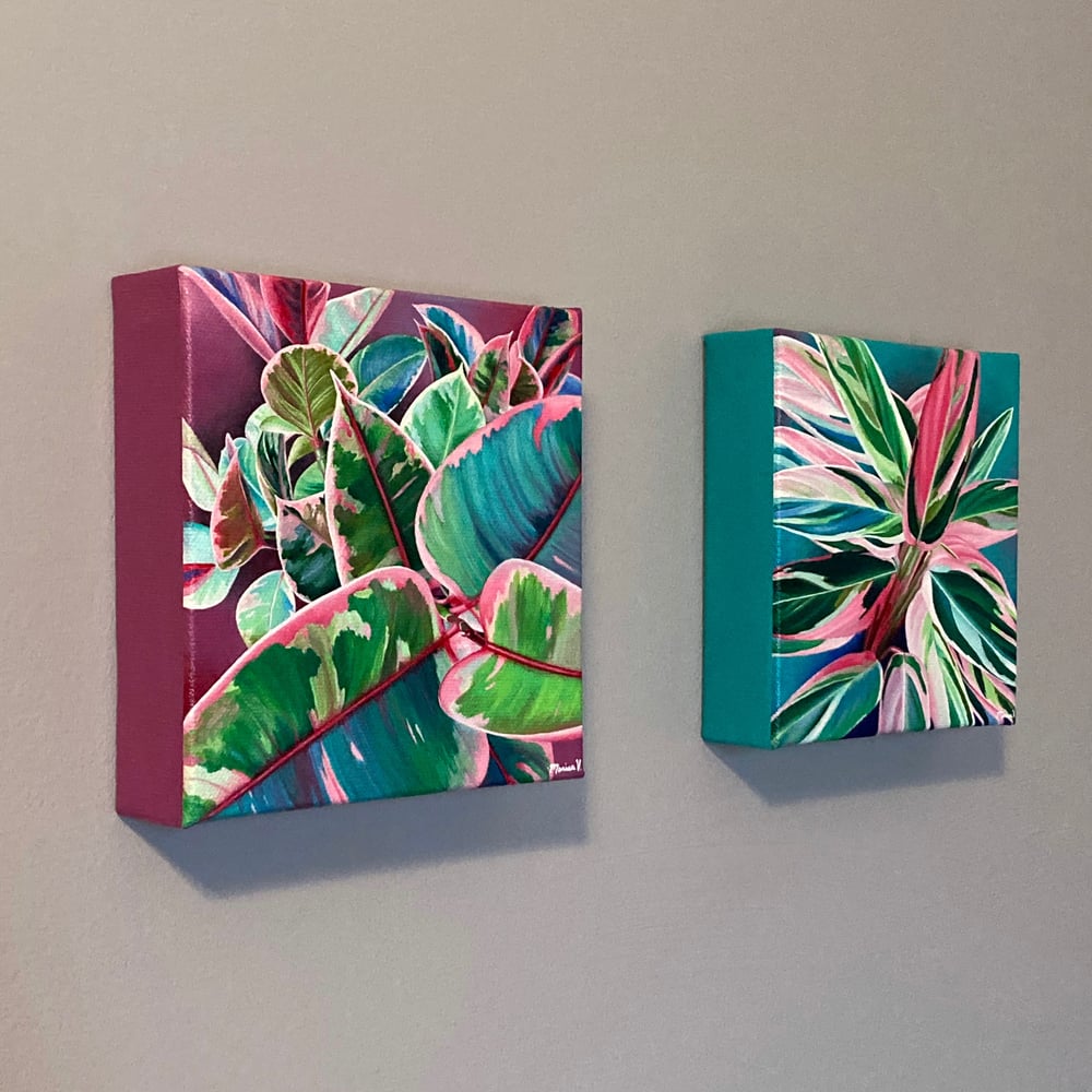 “Stromanthe Triostar” Original Painting