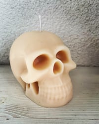 Skull candle