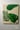 Tropical Leaves I