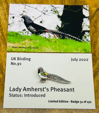 Image 4 of July 2022 UK Birding Pins Releases