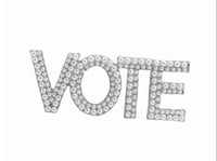 VOTE PIN 