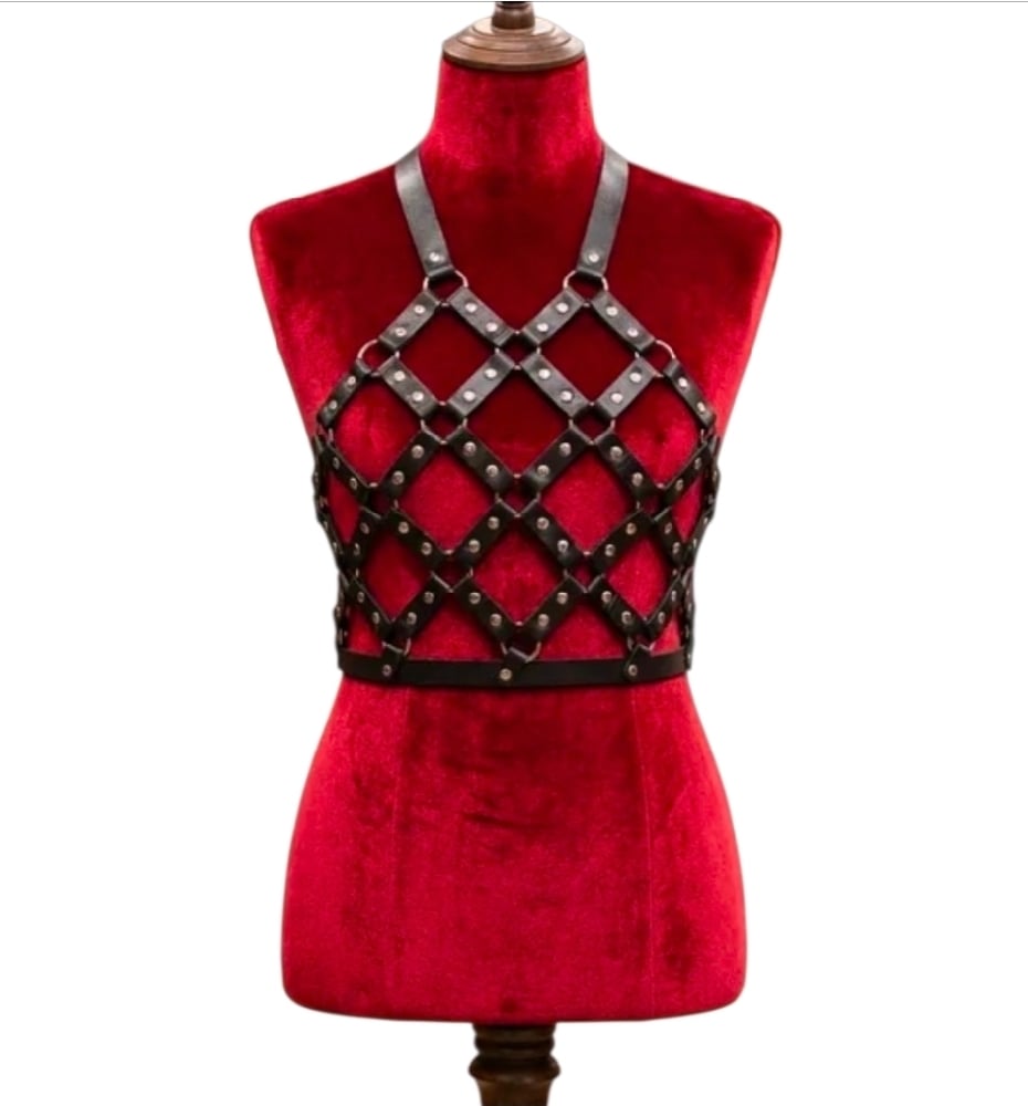Image of Ritual Binding Harness
