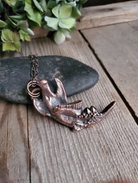 Image 8 of Muskrat Jawbone with Smoky Quartz
