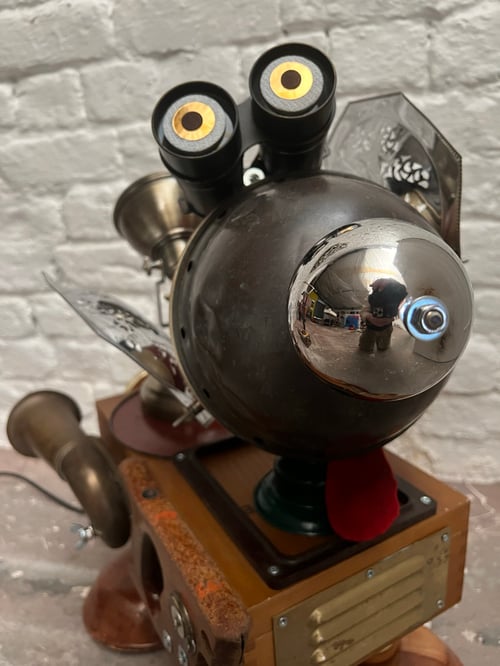 Image of Curly Bumtrumpet