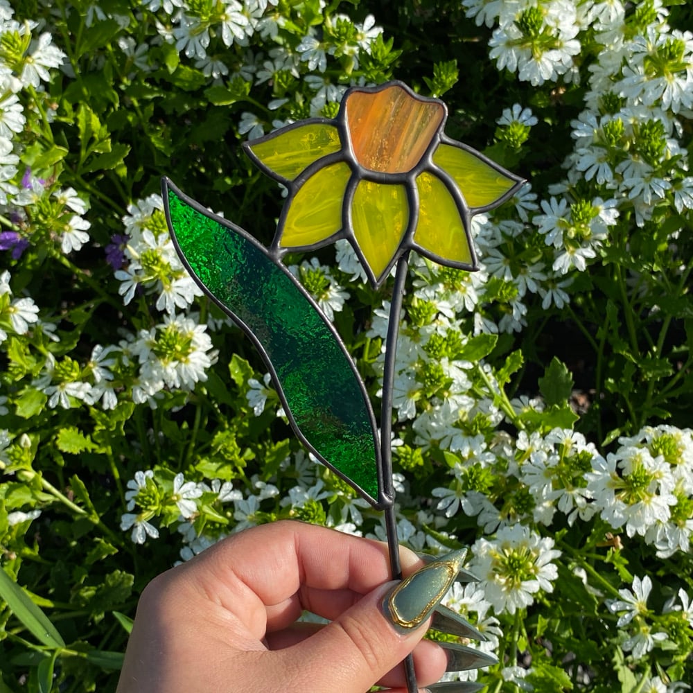 Image of Daffodil Plant Stakes