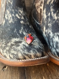 Image 1 of Dusty Spur Spade