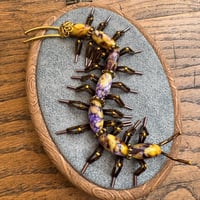 Image 2 of Centipede (b,  4x5 inches)