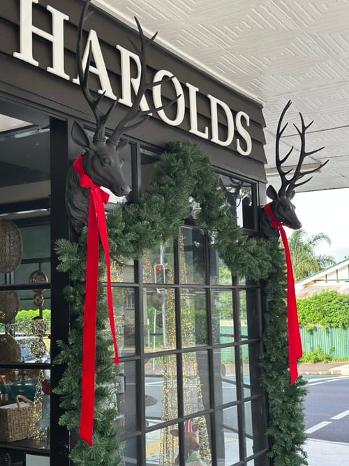 Image of Pine Prelit Garland