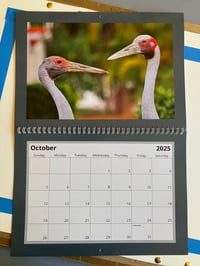 Image 4 of 2025 Bird Calendar 