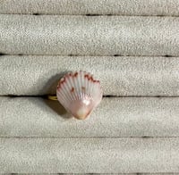 Image 15 of Shell Rings