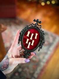 Image 2 of Framed Coyote Toe Bones