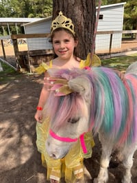 Image 15 of Princess Tea Party, colorful unicorns, princess appearance, snow fall, MORE! 