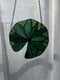 Image of Dark green lily pad