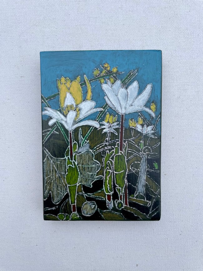 Bloodroot 2 