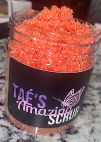 Image 3 of The Holiday Collection 🎄