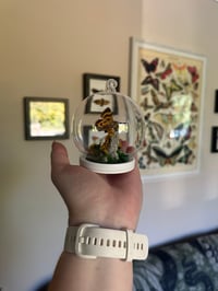 Image 2 of Yellow Bands Underwing Mini Dome