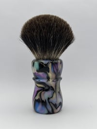 Image 2 of Abalone ‘