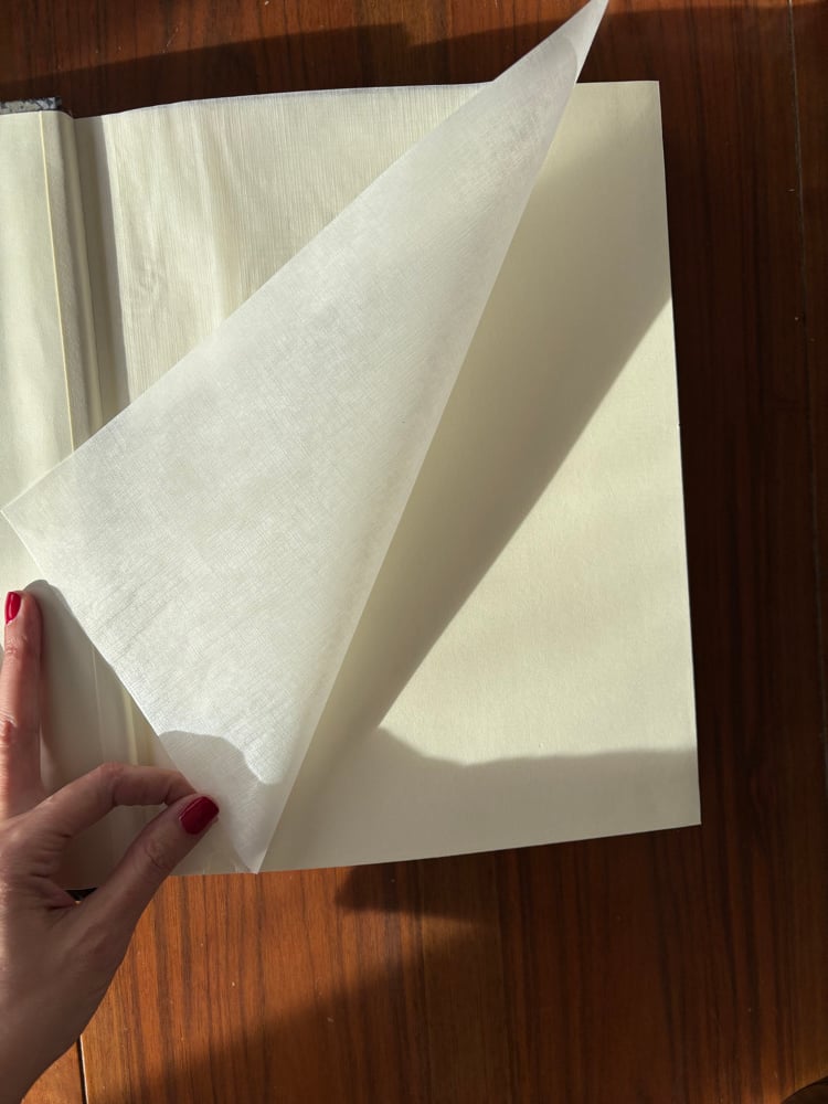 Image of ALBUM MORRIS TOPO