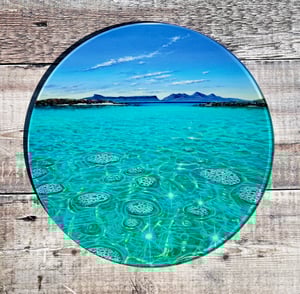 Image of Round glass platters
