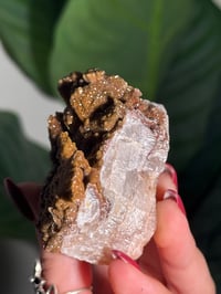 Image 4 of SUGAR DRUZY CHALCEDONY X MANGANESE -MOROCCO- Q