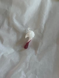 Image 1 of bludtoof