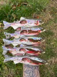 Image 1 of Rainbow Trout - Mother of Pearl