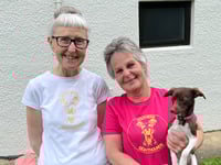 Image 1 of Southern Sighthounds Tee Shirts