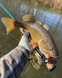 Image 5 of Sculpin-Craw