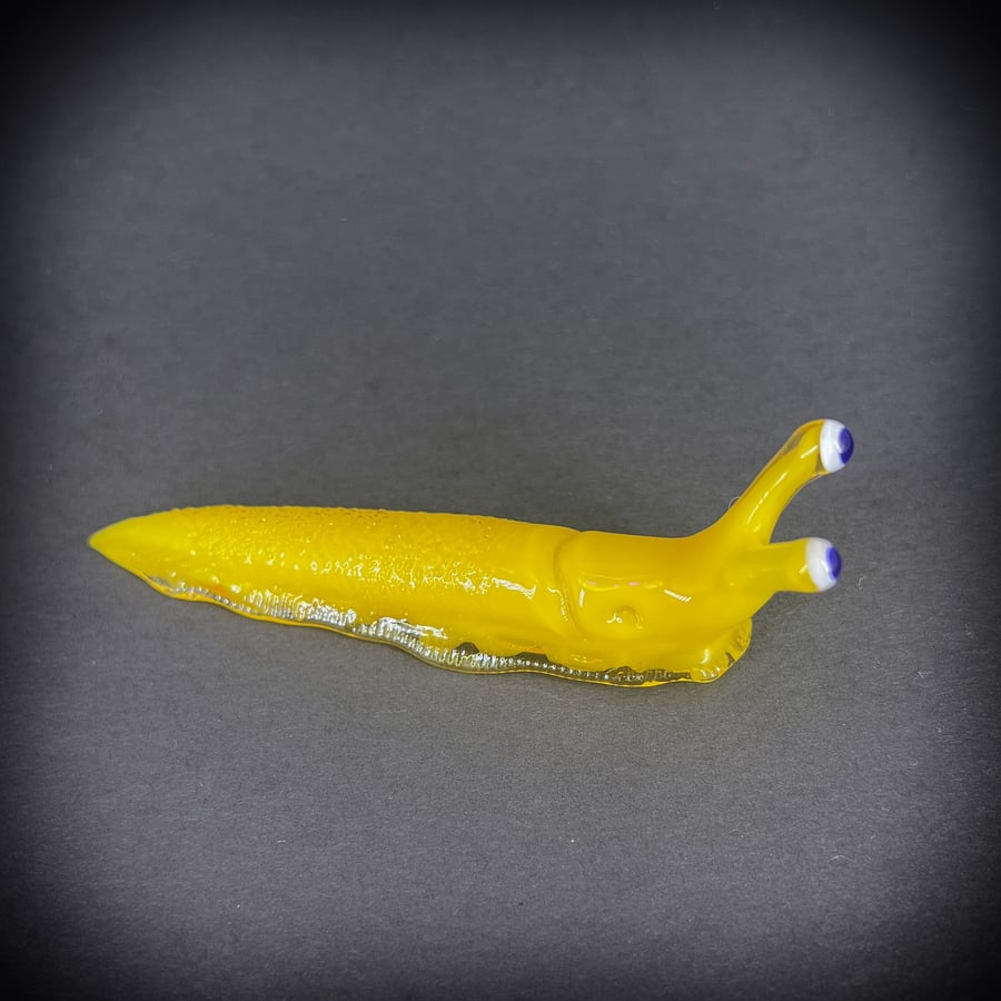 Image of Yellow Boro Slug