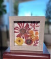 Zinnia, Calendula, Indian Blanket And Nasturtium Wildflowers In 6" X 6" Shadow Box (Item# 202212S)
