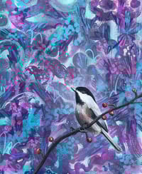 Image 3 of Black capped chickadee 