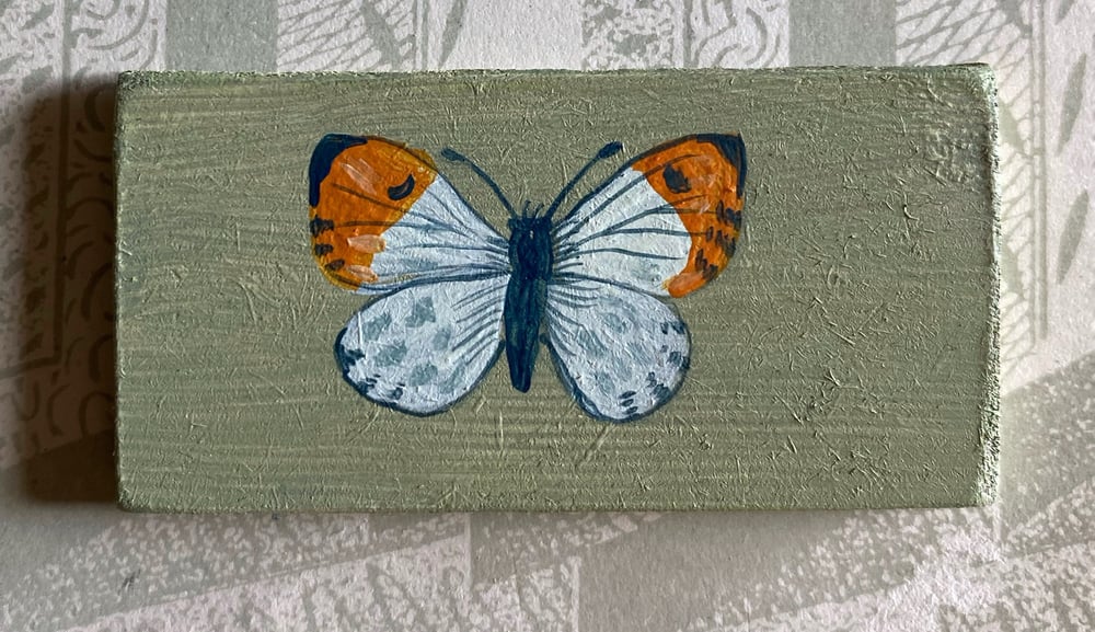 Image of Miniature Butterfly (D)