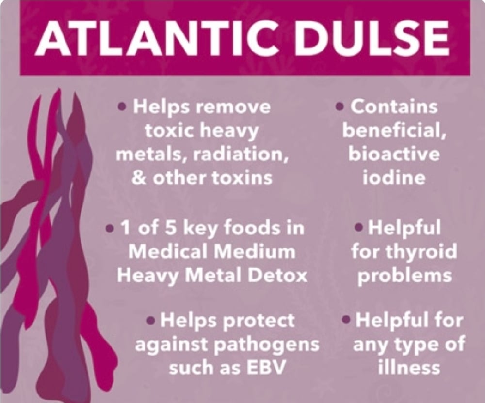 WILD CILANTRO/Blueberry Juice. Dulse. Kamut Wheatgrass. Anxiety. Oxygen.