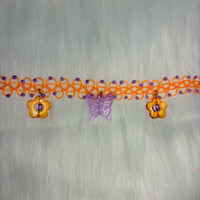 Orange Butterfly Daisy
