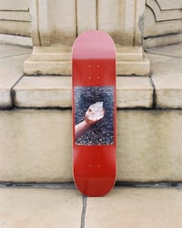 Image 2 of Siano x Filip CRYSTAL