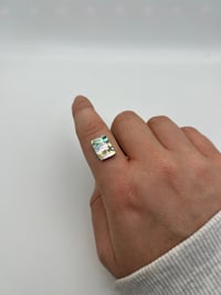 Image 2 of Abalone option 7