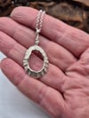 Open Limpet Shell Necklace 