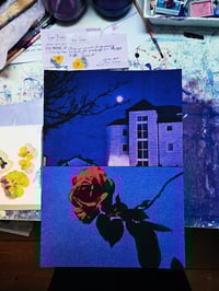 Image 3 of PICK ROSES AT NIGHT X