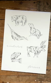 Image 2 of Original Graphite Drawings