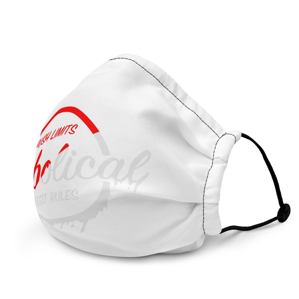 Diabolical "Drip" Premium face mask 
