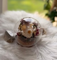 Image 6 of Rose Quartz Kitty