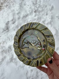 Image 3 of Basshtray