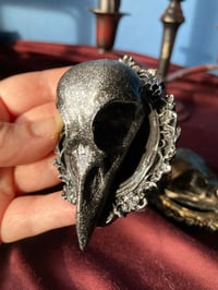 Image 3 of Resin Bird Skull Frames