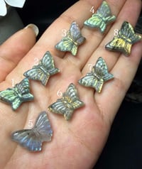 Image 1 of PRE ORDER Butterfly BATCH 2