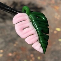 Image 3 of SALE Pink Half-Moon Monstera Leaf (slightly imperfect) 
