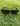 Black Sunglasses 