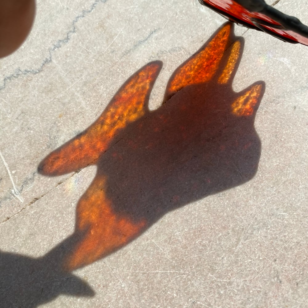 Image of ORANGE Ryukin Goldfish