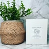 Zodiac Crystal Infused Candle - PISCES  **ONLY 10 AVAILABLE**