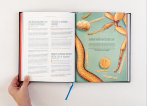 Image of Ik heb een vraag 1 - Softcover - Gesigneerd