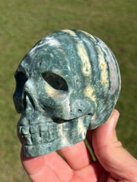 Image 7 of Ocean Jasper Skull #2177